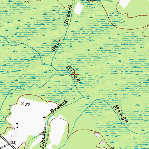Topographic Map of Campbell Swamp, SC