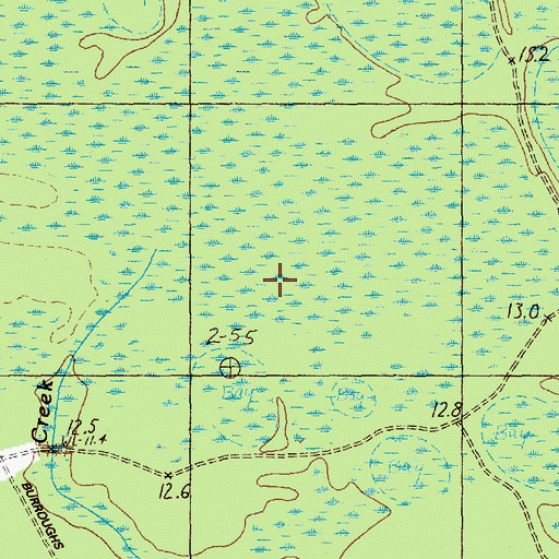 Topographic Map of Cane Patch Swamp, SC