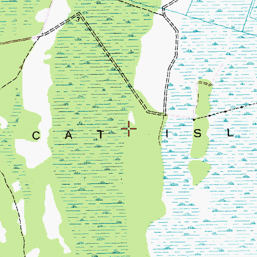 Topographic Map of Cat Island, SC
