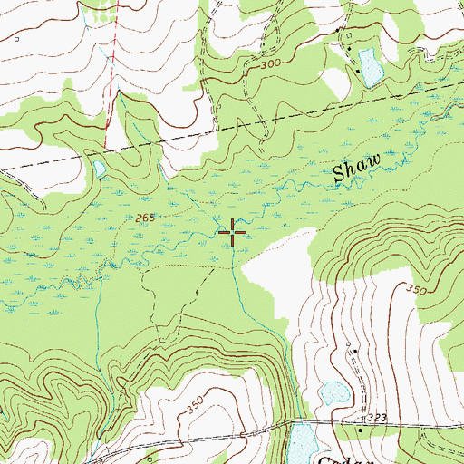 Topographic Map of Cedar Branch, SC
