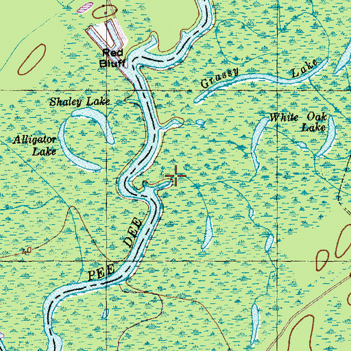 Topographic Map of Cedar Creek, SC
