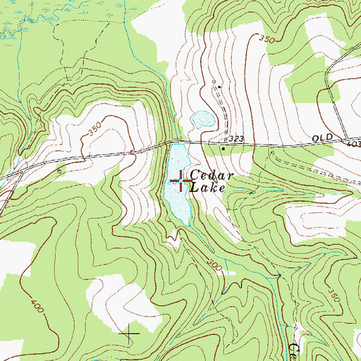 Topographic Map of Cedar Lake, SC