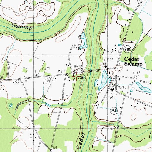 Topographic Map of Cedar Swamp, SC