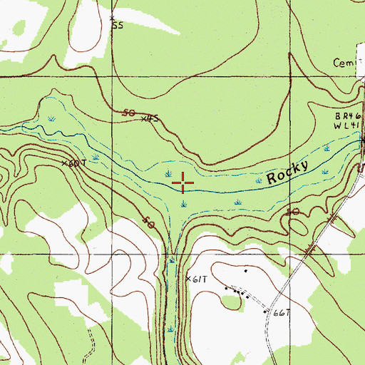 Topographic Map of Chaney Swamp, SC