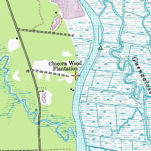 Topographic Map of Chicora Wood Plantation, SC