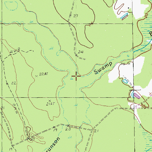 Topographic Map of Chinners Swamp, SC