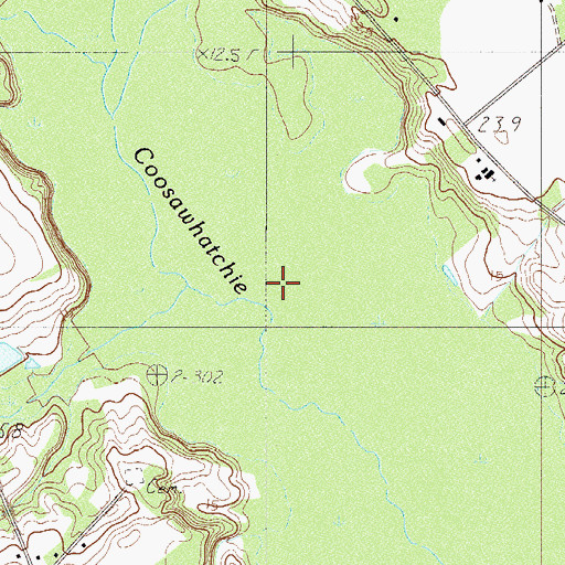 Topographic Map of Cowpen Branch, SC