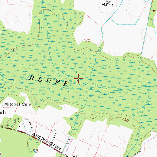 Topographic Map of Cowpen Swamp, SC