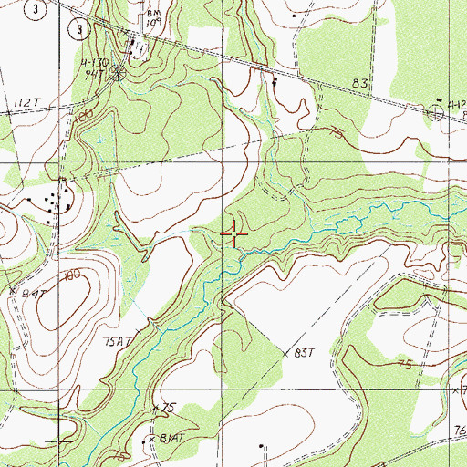 Topographic Map of Cypress Creek, SC