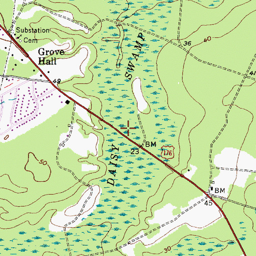Topographic Map of Daisy Swamp, SC