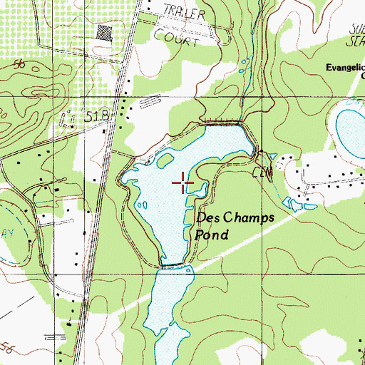 Topographic Map of Des Champs Pond, SC
