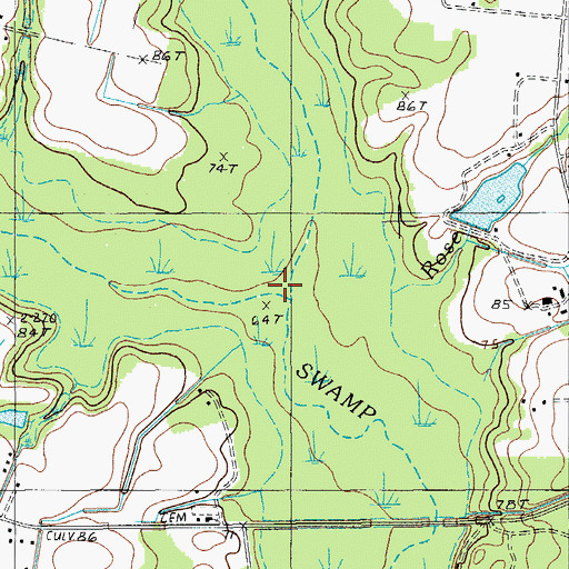 Topographic Map of Douglas Swamp, SC