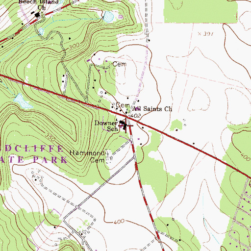 Topographic Map of Downer School, SC