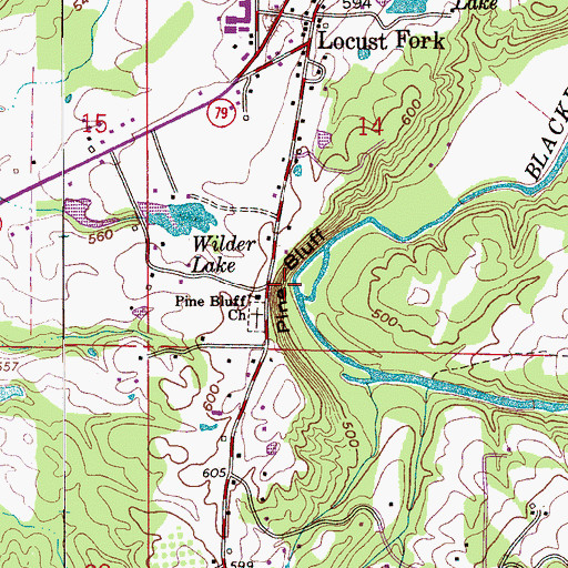 Topographic Map of Pine Bluff, AL