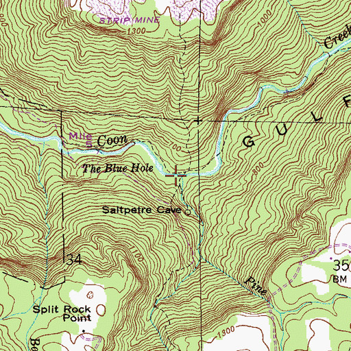 Topographic Map of Pine Branch, AL