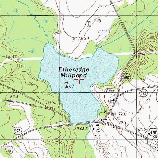 Topographic Map of Etheredge Millpond, SC