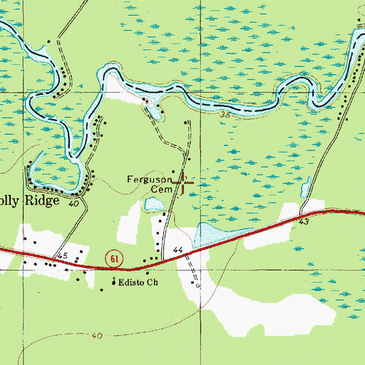 Topographic Map of Ferguson Cemetery, SC