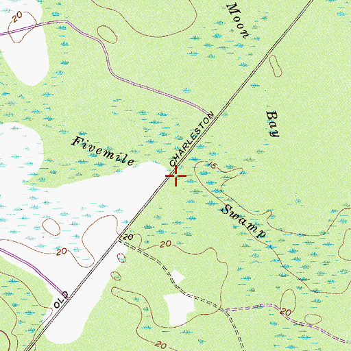Topographic Map of Fivemile Swamp, SC