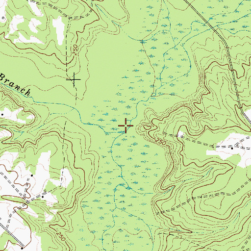 Topographic Map of Flat Branch, SC