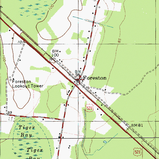 Topographic Map of Foreston, SC