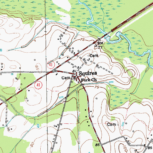 Topographic Map of Fork Church, SC