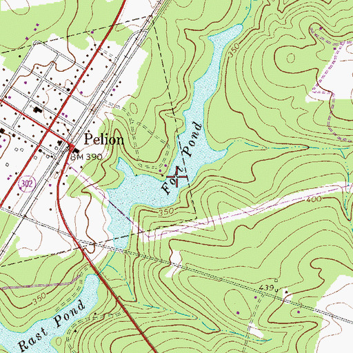 Topographic Map of Fort Pond, SC