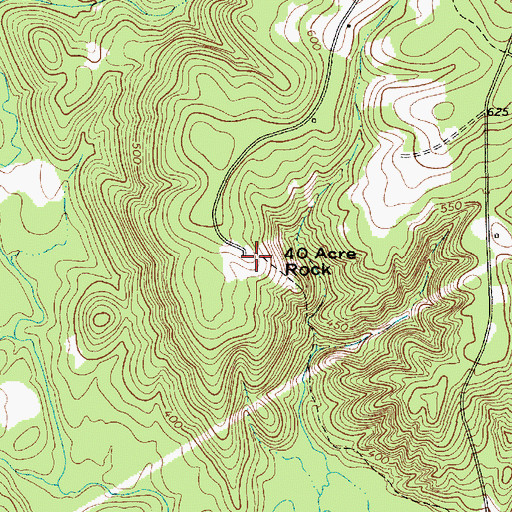 Topographic Map of Forty Acre Rock, SC
