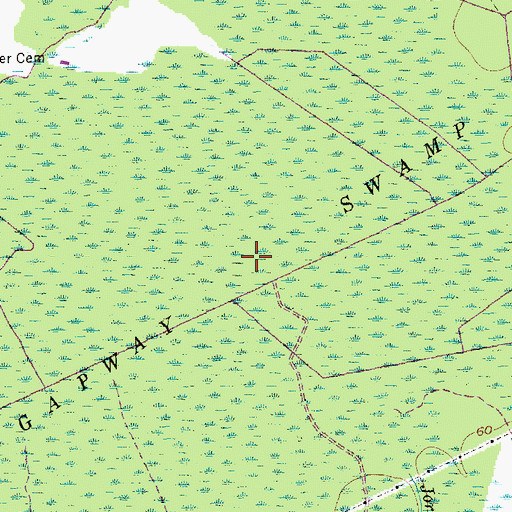 Topographic Map of Gapway Swamp, SC