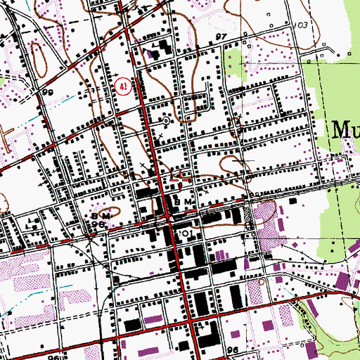Topographic Map of Martins Hospital (historical), SC