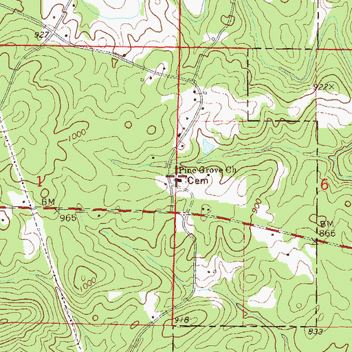 Topographic Map of Pine Grove Church, AL