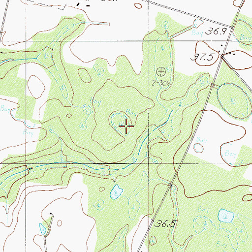 Topographic Map of Hampton County, SC