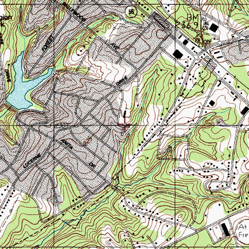 Topographic Map of Carlton Court, SC