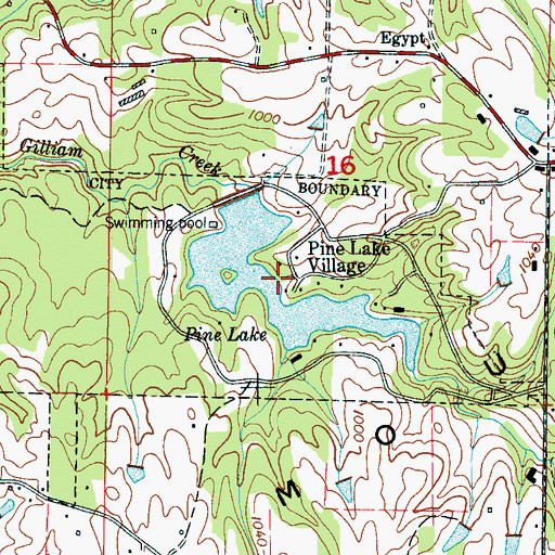 Topographic Map of Pine Lake, AL