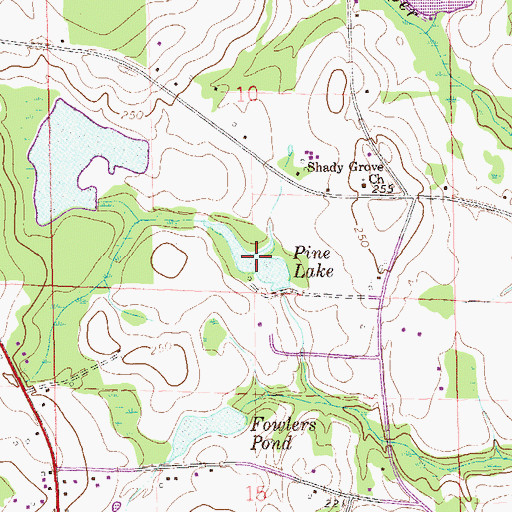 Topographic Map of Pine Lake, AL
