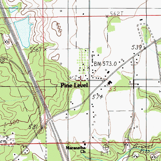 Topographic Map of Pine Level, AL