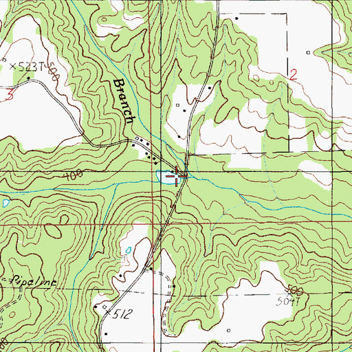 Topographic Map of Pine Level Branch, AL