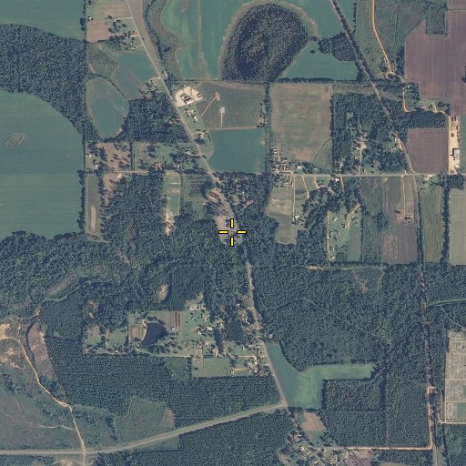 Aerial/Satellite Image of Pine Level Church, AL