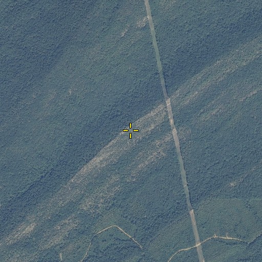Aerial/Satellite Image of Pine Mountain, AL