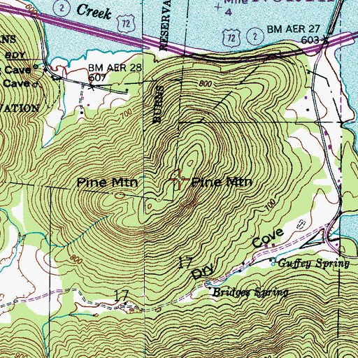 Topographic Map of Pine Mountain, AL