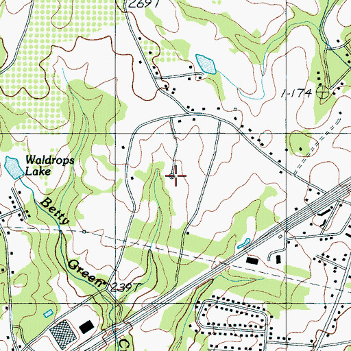 Topographic Map of Meadow Spring, SC