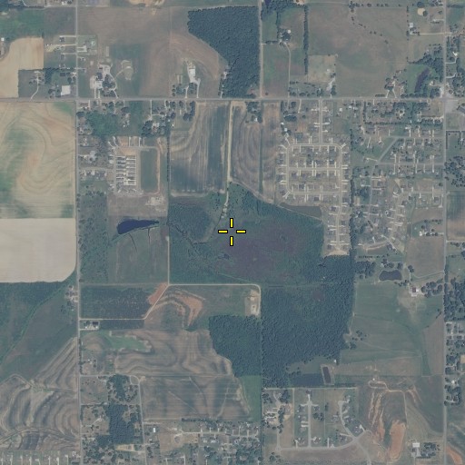 Aerial/Satellite Image of Pine Swamp, AL