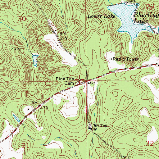 Topographic Map of Pine Top Cemetery, AL