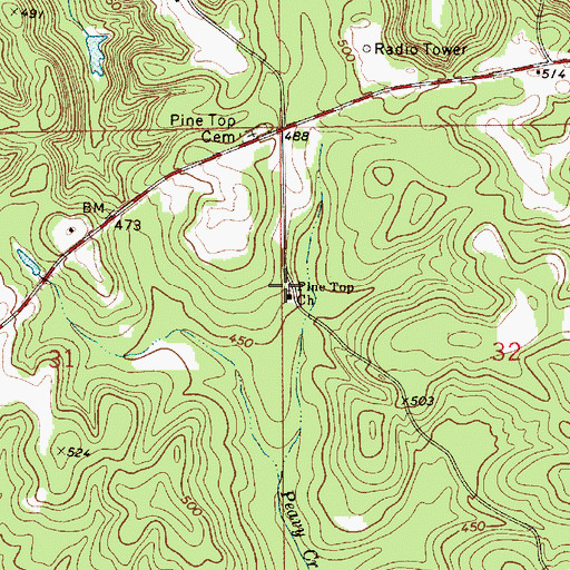 Topographic Map of Pine Top Church, AL