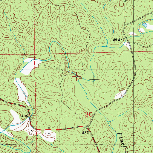 Topographic Map of Pinefiold Branch, AL