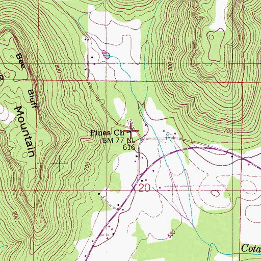 Topographic Map of Pines Church, AL