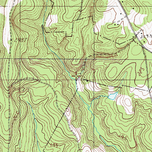 Topographic Map of White Stone Springs (historical), SC