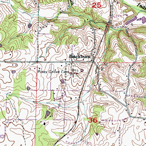 Topographic Map of Piney Grove Cemetery, AL