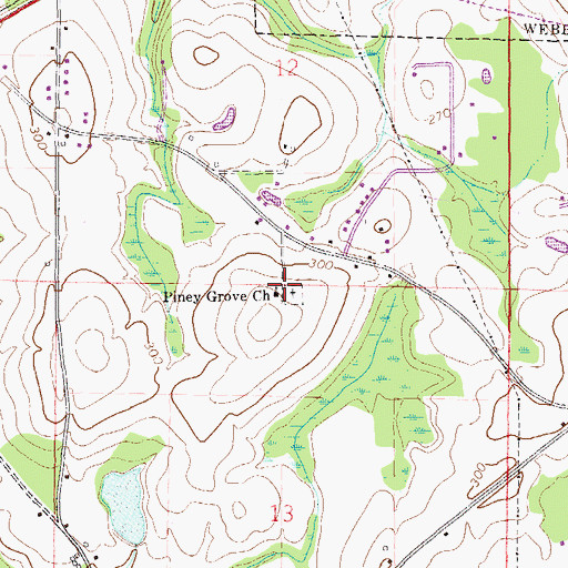 Topographic Map of Piney Grove Church, AL