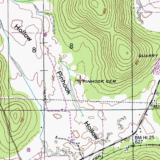 Topographic Map of Pinhook Cemetery, AL