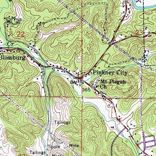 Topographic Map of Pinkney City, AL